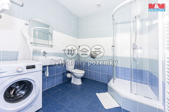 Pronájem, Byt 1+kk, Čáslav