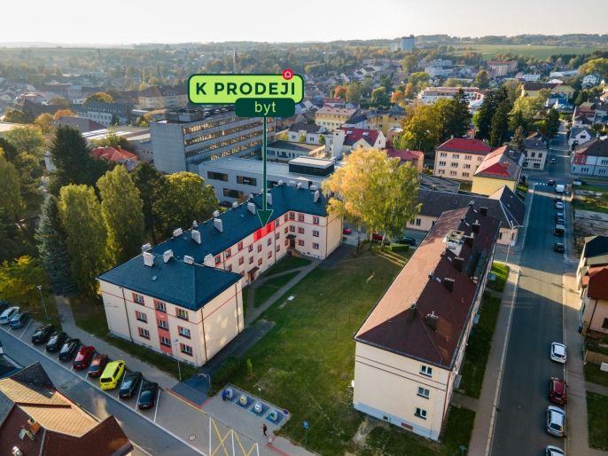 Prodej, Byt 2+1, Hlinsko