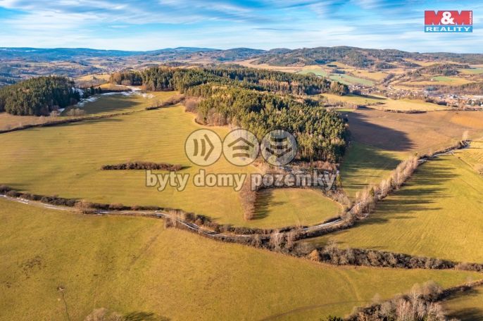 Prodej, Les, Malenice