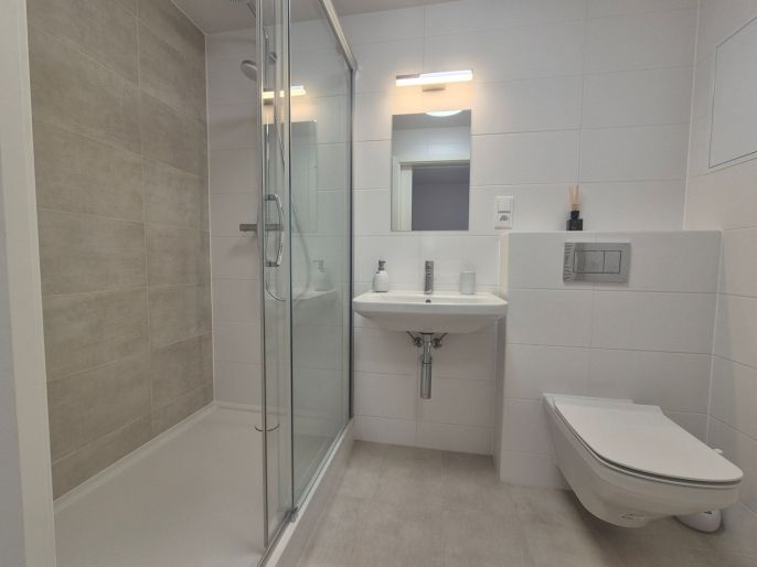 Pronájem, Byt 3+kk, Beroun