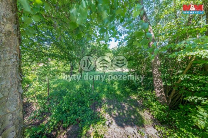 Prodej, Zahrada, Český Těšín