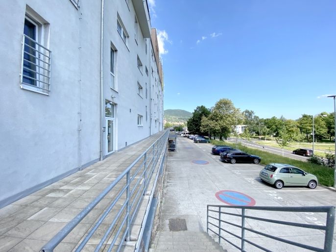 Pronájem, Byt 1+kk, Lovosice