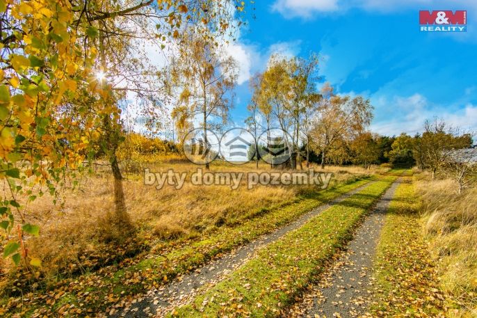 Prodej, Zahrada, Krsy