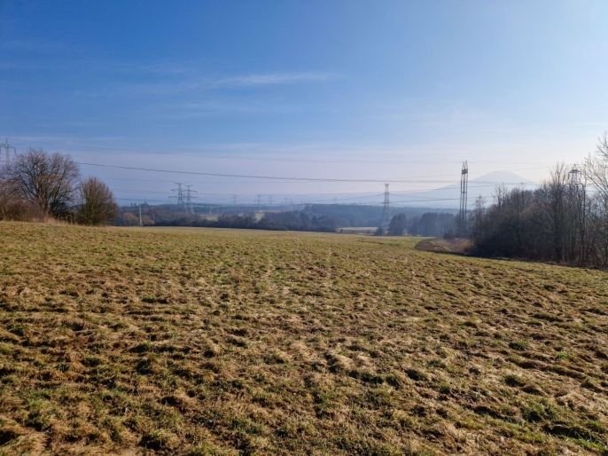 Prodej, Louka, Kozly