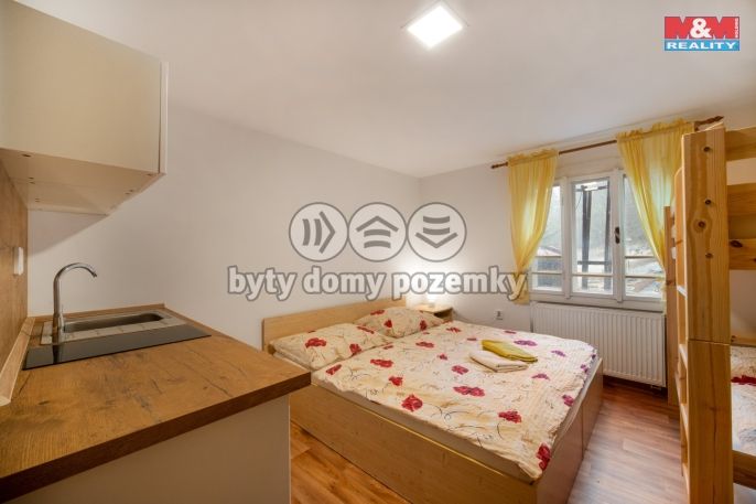 Prodej, Hotel, penzion, Bartošovice v Orlických horách