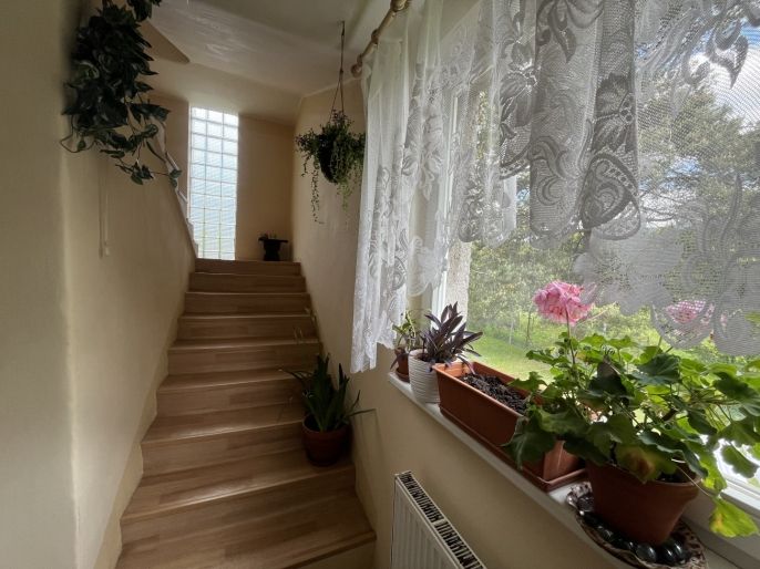 Pronájem, Rodinný dům, Návsí