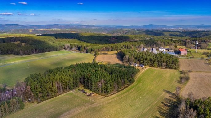 Prodej, Les, Všelibice