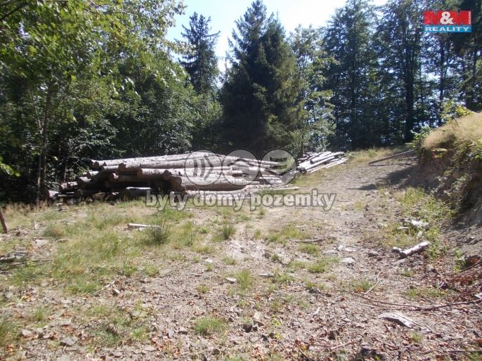 Prodej, Pozemek k bydlení, Pstruží