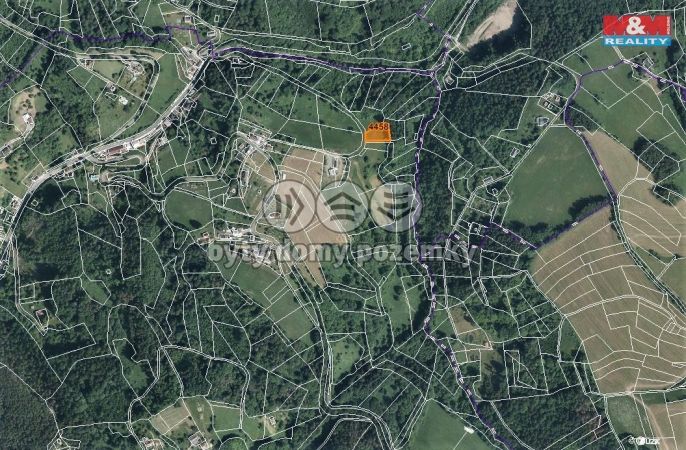 Prodej, Les, Koberovy