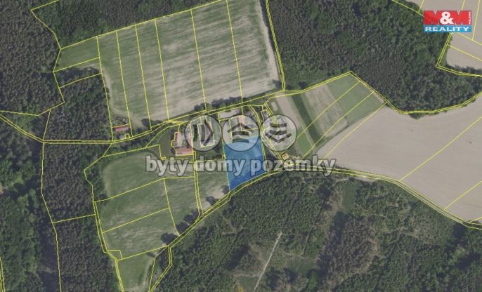 Pronájem, Pastvina, Zásmuky