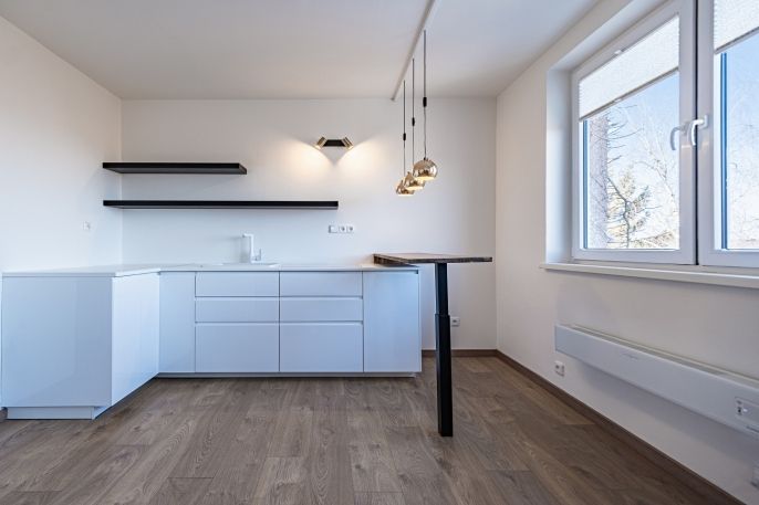 Prodej, Byt 1+kk, Doubravčice