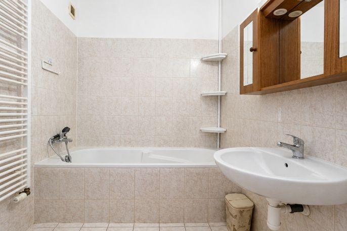 Pronájem, Byt 1+1, Nová Role