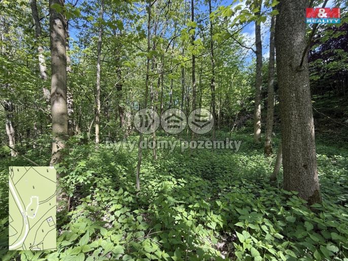 Prodej, Ostatní, Červená Voda