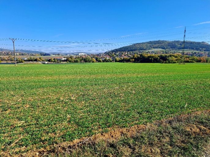 Prodej, Pole, Sentice