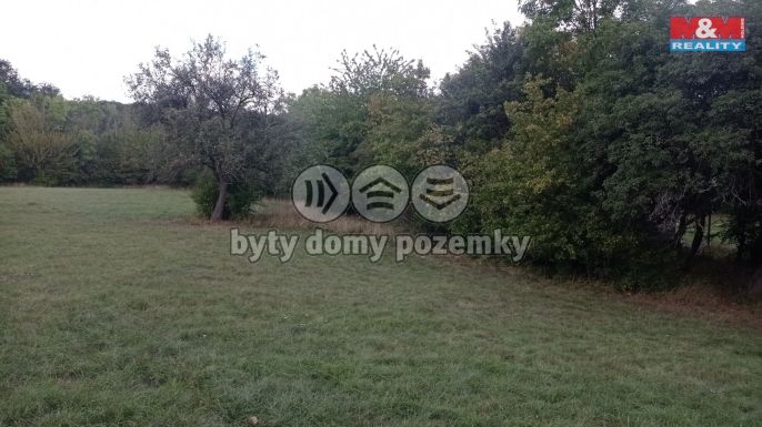 Prodej, Louka, Jenčice