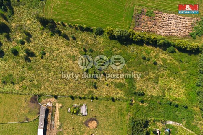 Prodej, Zemědělská usedlost, Hracholusky