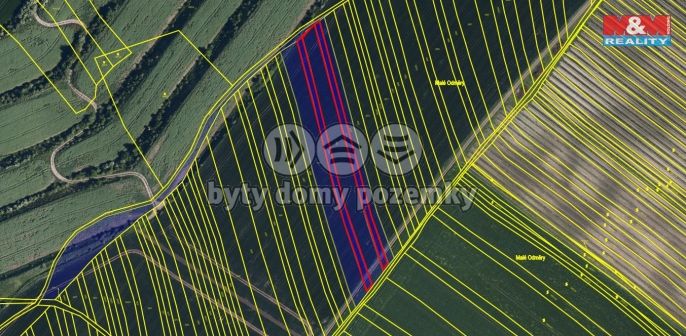 Prodej, Pole, Dambořice