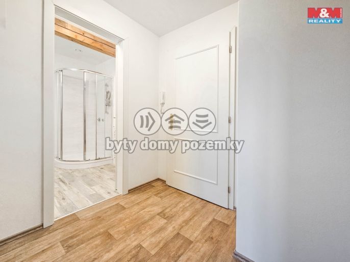 Pronájem, Byt 1+kk, Studeněves