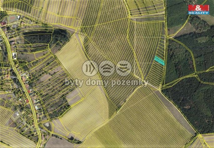 Prodej, Vinice, Nechvalín