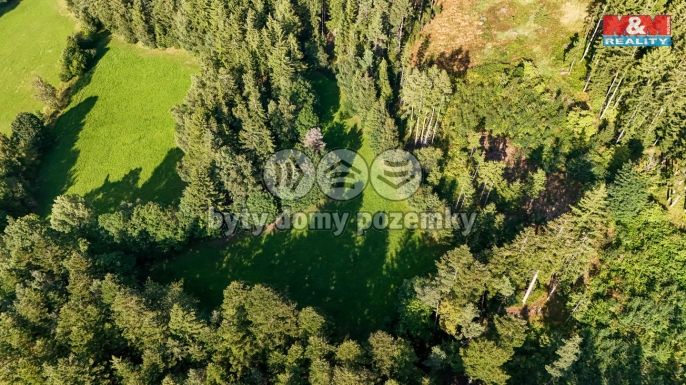 Prodej, Les, Petrovice u Sušice