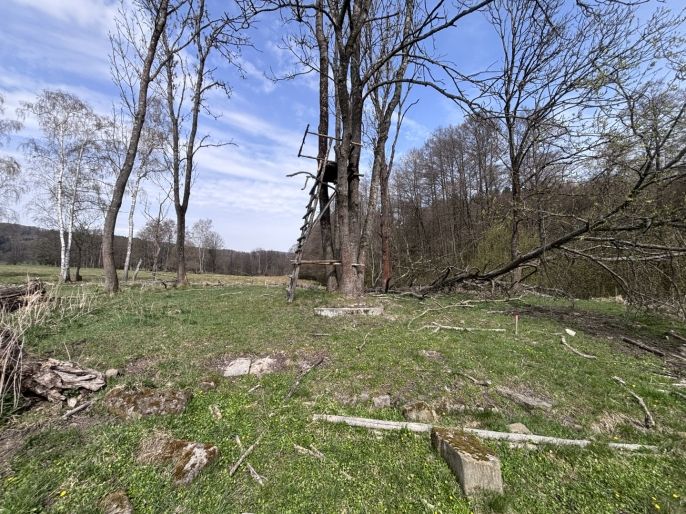 Prodej, Louka, Cvikov