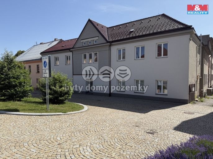 Pronájem, Obchod a služby, Nasavrky