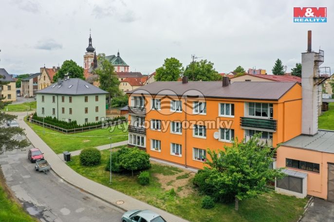 Prodej, Byt 2+1, Bor