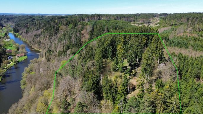 Prodej, Les, Řepeč