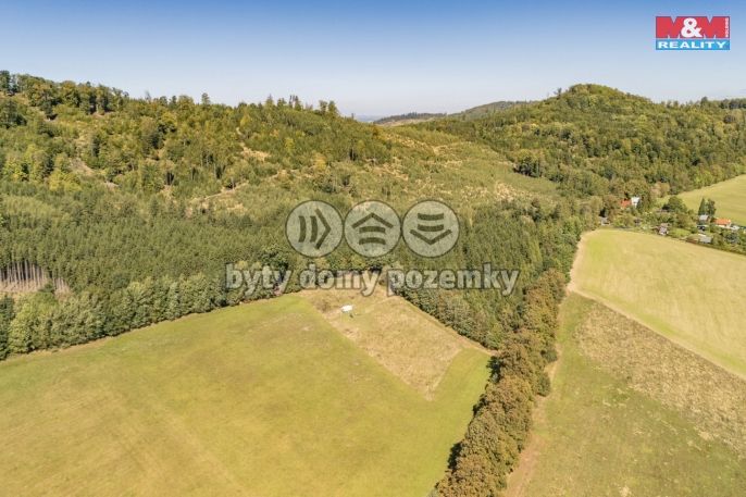 Prodej, Louka, Kdyně