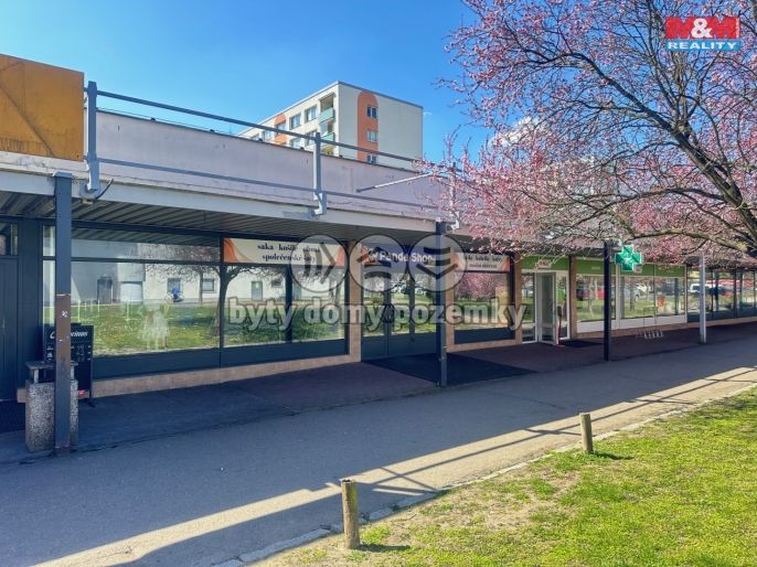 Pronájem, Obchod a služby, Mladá Boleslav