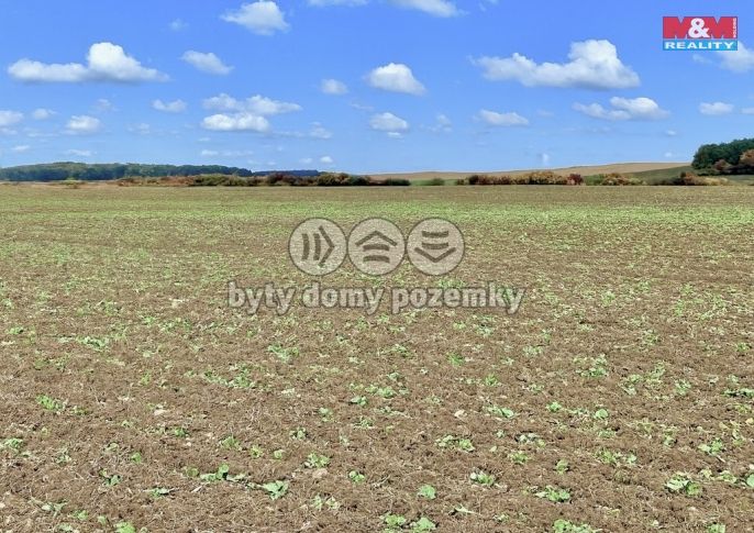 Prodej, Pole, Dolní Roveň