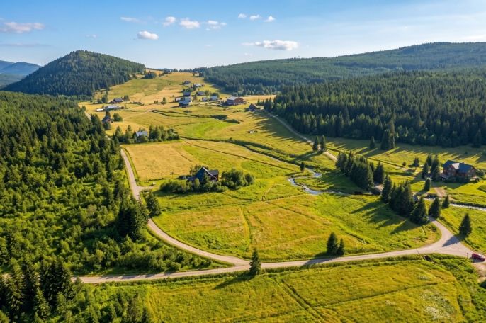 Prodej, Pastvina, Kořenov