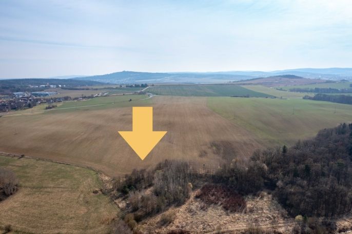 Prodej, Pole, Plzeň