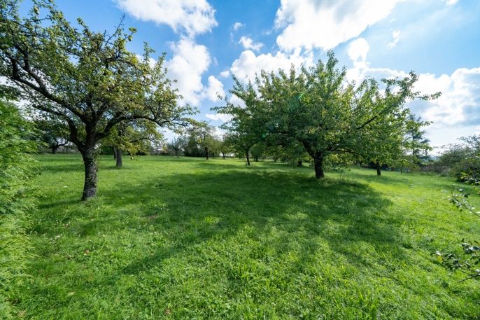 Prodej, Pozemek k bydlení, Letkov