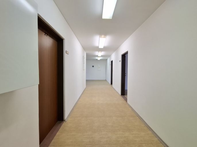 Pronájem, Obchod a služby, Chodov