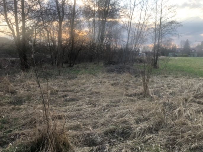 Prodej, Louka, Horní Suchá