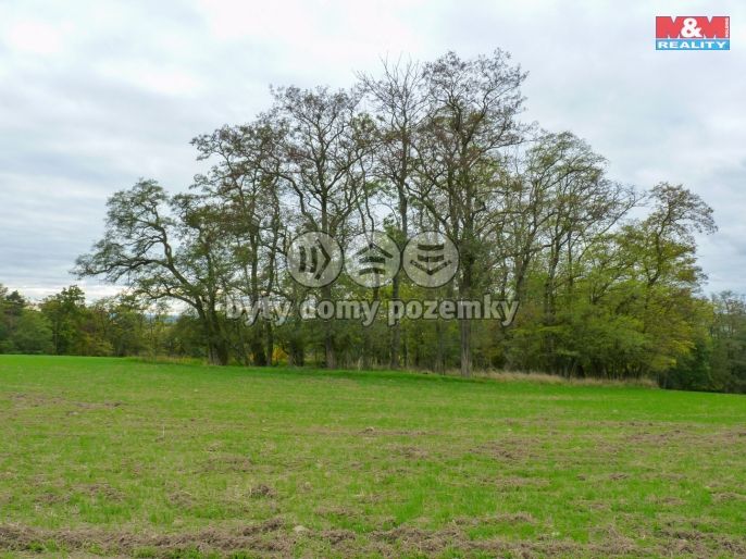 Prodej, Les, Drahobuz