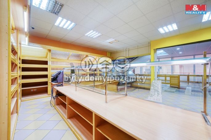 Pronájem, Obchodní objekt, Třemošná