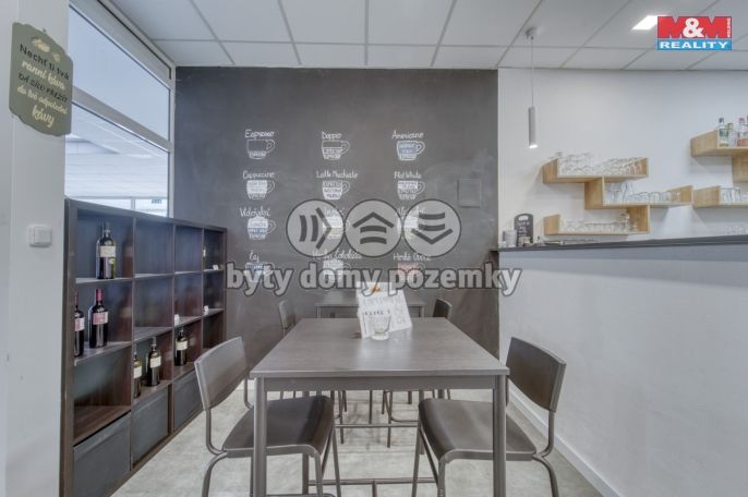 Pronájem, Obchodní objekt, Třemošná