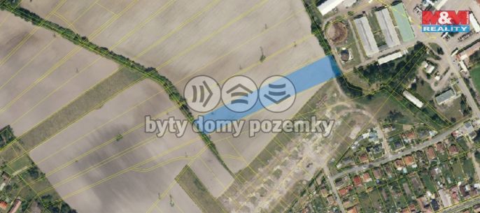 Prodej, Pole, Živanice