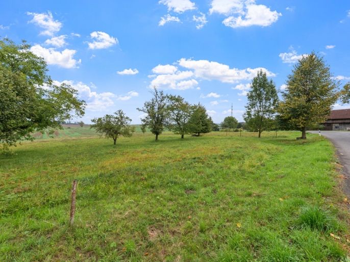 Prodej, Pozemek k bydlení, České Heřmanice