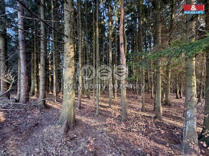 Prodej, Les, Městečko Trnávka