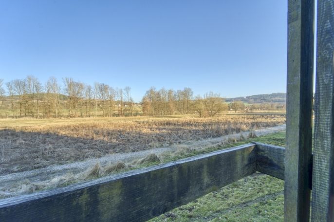 Prodej, Chata, Předenice