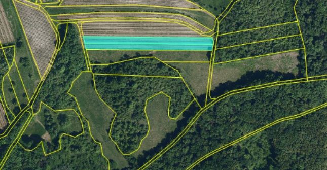 Prodej, Vinice, Horní Věstonice