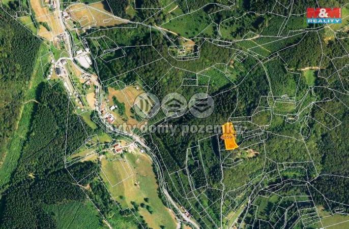 Prodej, Les, Halenkov