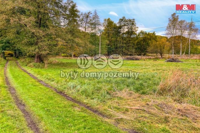 Prodej, Louka, Prysk