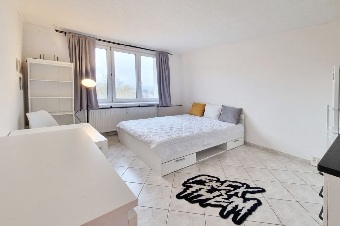 Pronájem, Byt 1+kk, Karlovy Vary