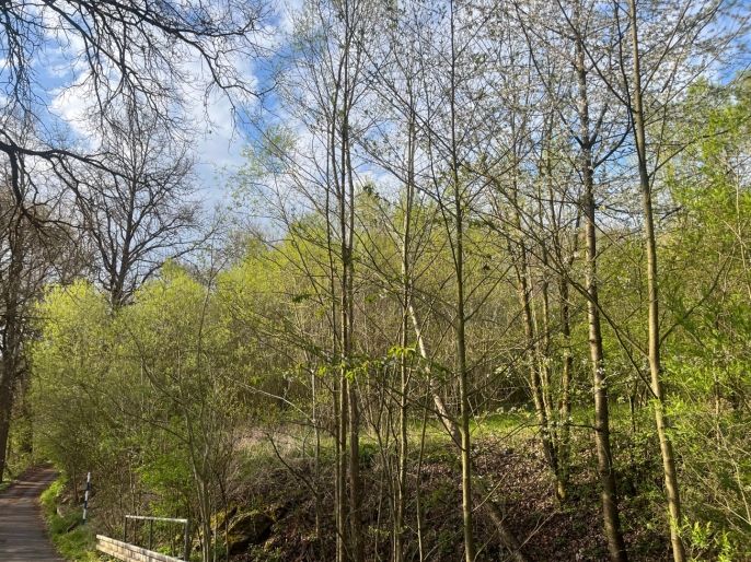 Prodej, Pole, Písek