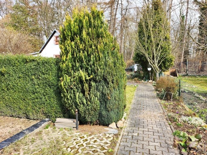 Prodej, Chata, Novosedlice