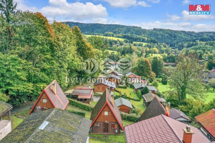 Prodej, Hotel, penzion, Pastviny